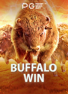 super slotxo ฟรี 50: ประสบการณ์การเล่นที่ไม่ควรพลาด